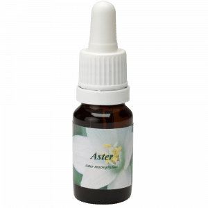 Flacon pipette 10ml. Remède floral Aster | Star Remedies