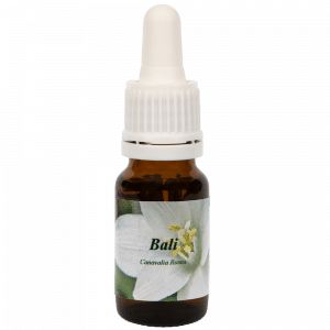 Пипетка-бутылочка 10 мл. Цветочное средство Бали | Star Remedies