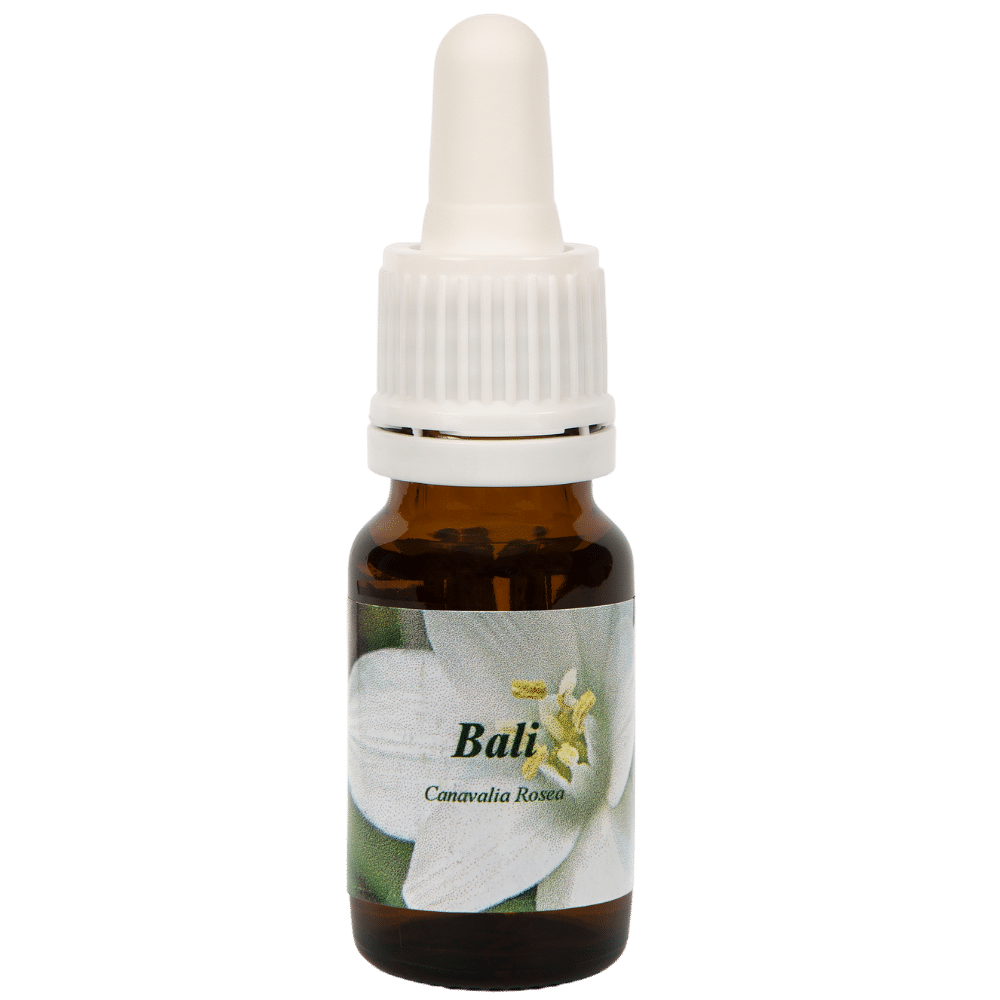 Pipettenflasche 10ml. Blume Heilmittel Bali | Star Remedies