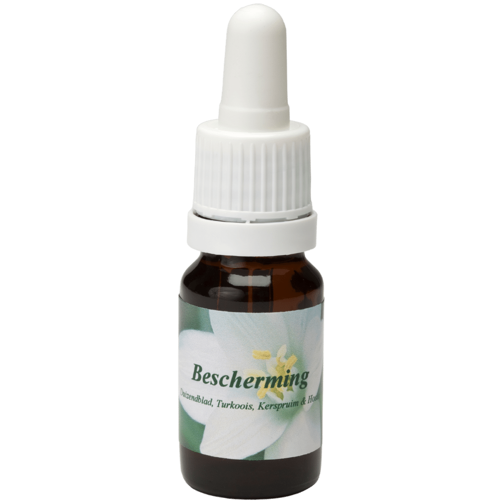Pipettenflasche 10ml. Blume Heilmittel Bescherming | Star Remedies