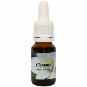 Flacon pipette 10ml. Remède floral Clematis | Star Remedies