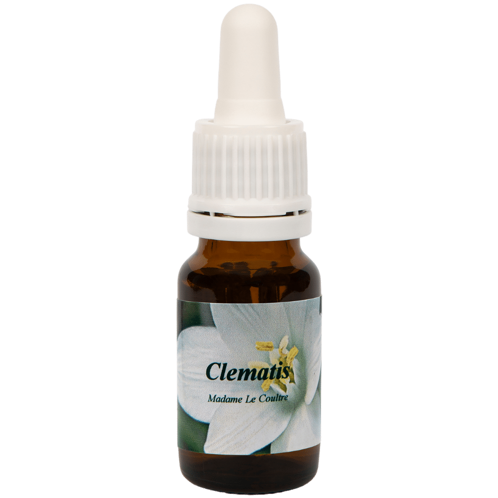 Pipette Bottle 10ml. Flower remedy Clematis | Star Remedies
