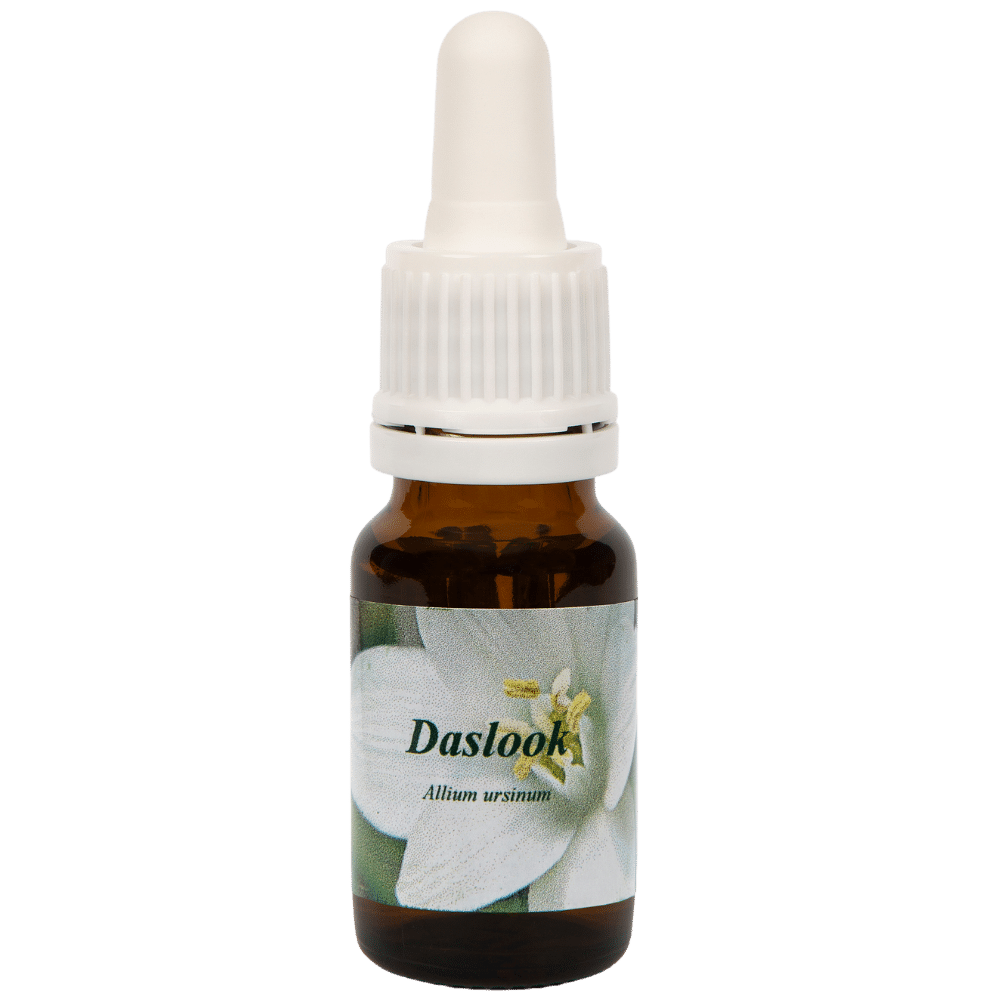 Pipette Bottle 10ml. Flower remedy Daslook | Star Remedies