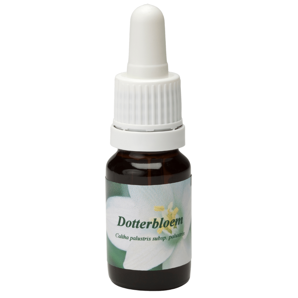 Pipette Bottle 10ml. Flower remedy Dotterbloem | Star Remedies