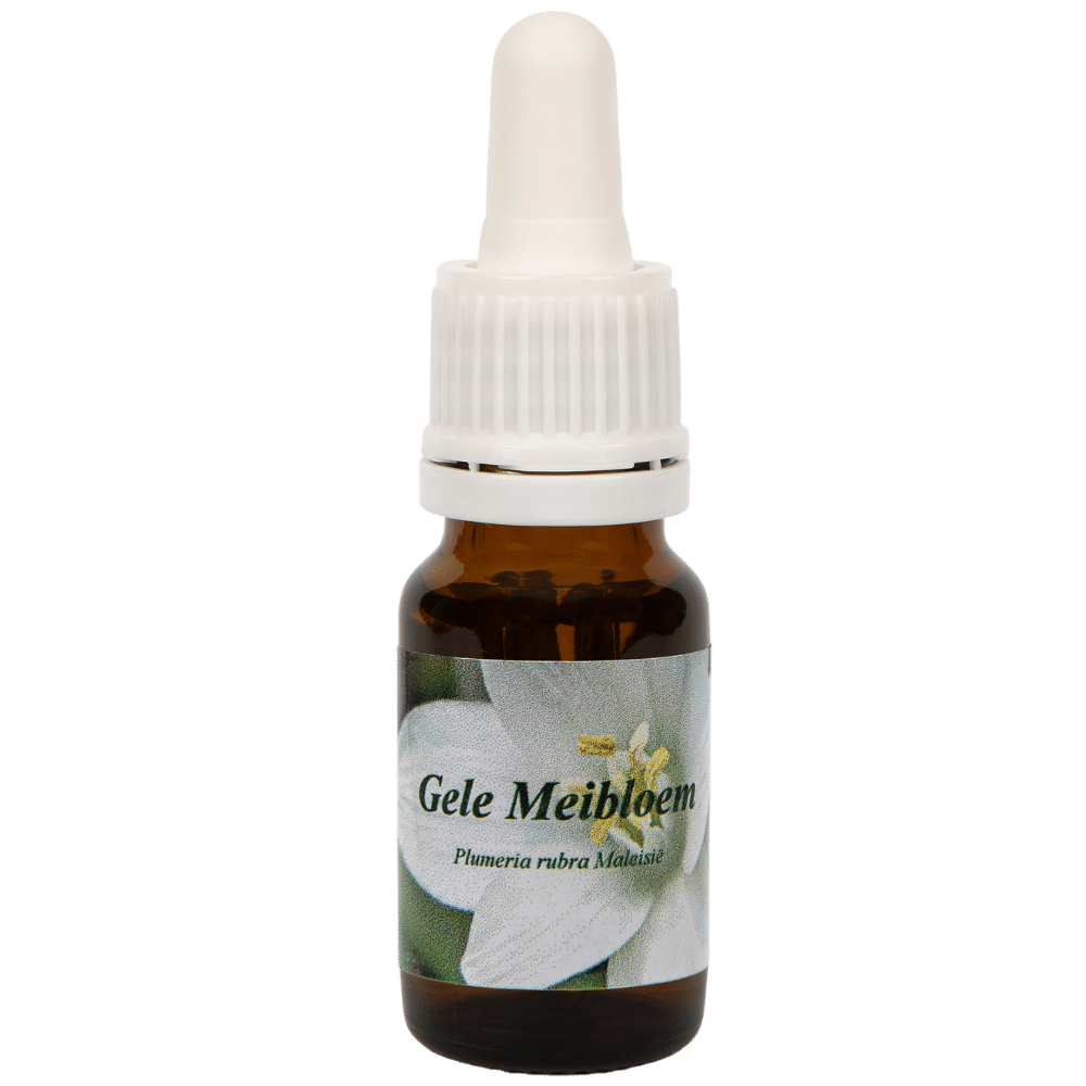 Pipette Bottle 10ml. Flower remedy Gele Meibloem | Star Remedies