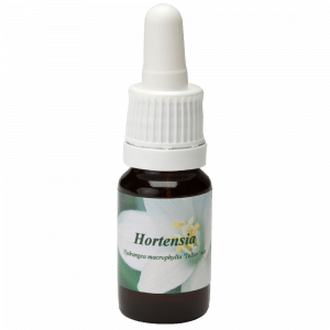 Pipettenflasche 10ml. Blume Heilmittel Hortensia | Star Remedies