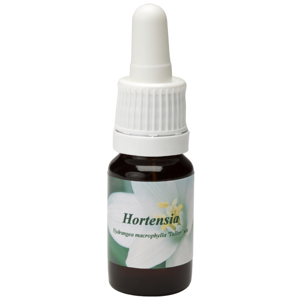 Pipettenflasche 10ml. Blume Heilmittel Hortensia | Star Remedies