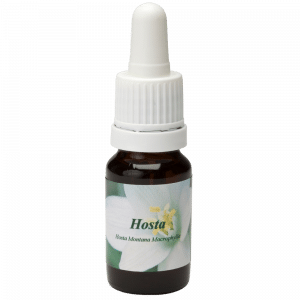 Pipette Bottle 10ml. Flower remedy Hosta | Star Remedies