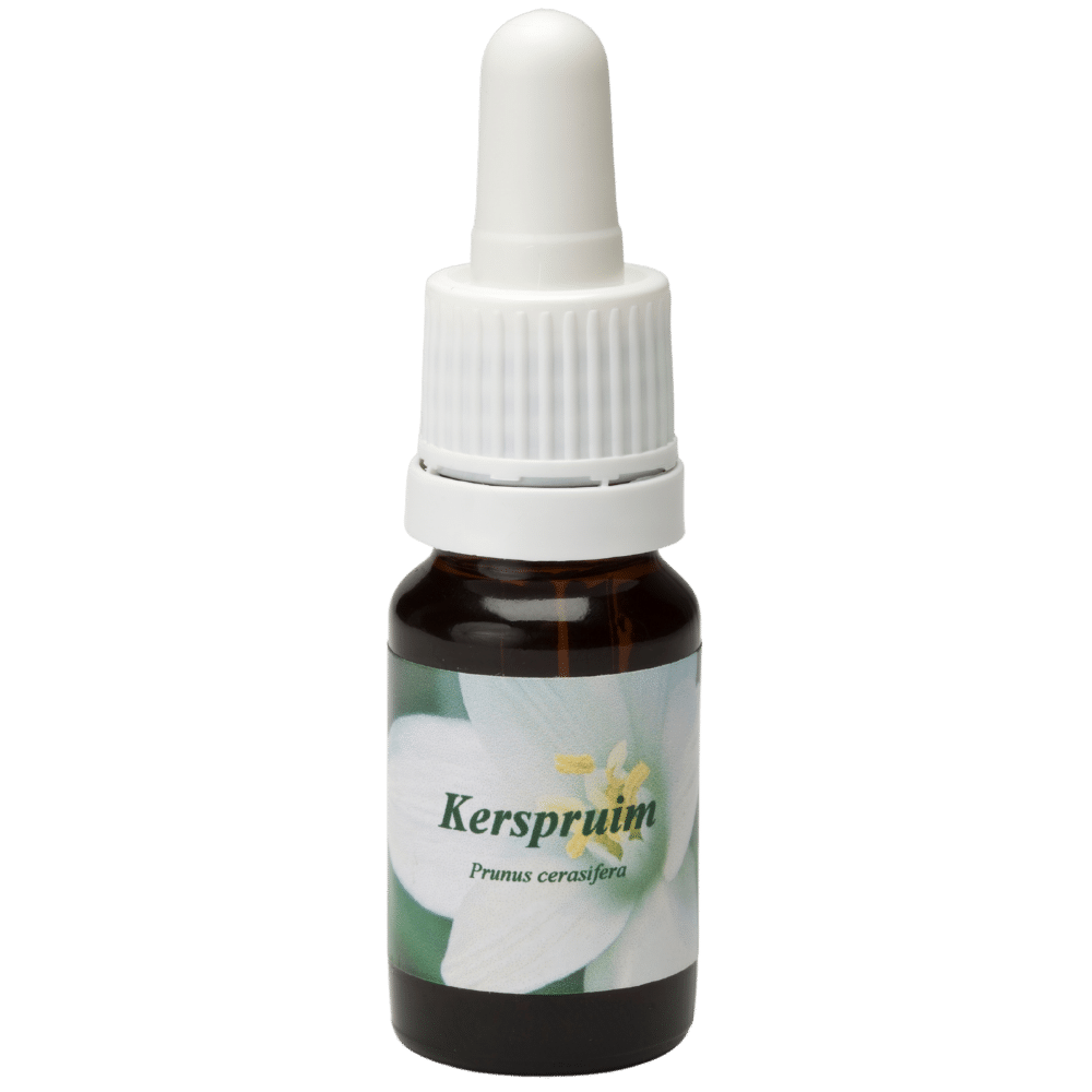 Pipette Bottle 10ml. Flower remedy Kerspruim | Star Remedies