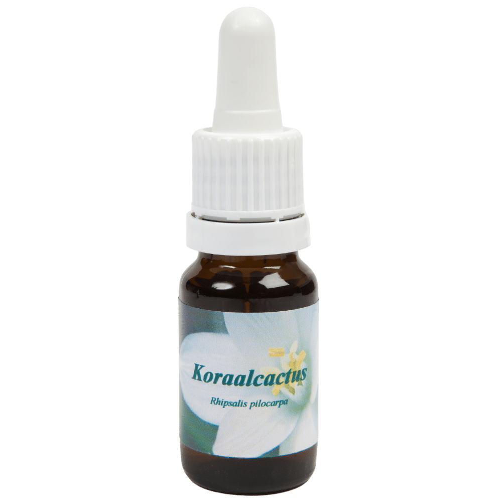 Пипетка-бутылочка 10 мл. Цветочное средство Koraalcactus | Star Remedies