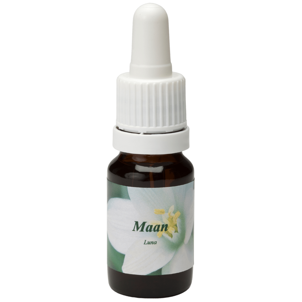 Flacon pipette 10ml. Remède floral Maan | Star Remedies