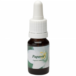 Flacon pipette 10ml. Remède floral Papaver | Star Remedies