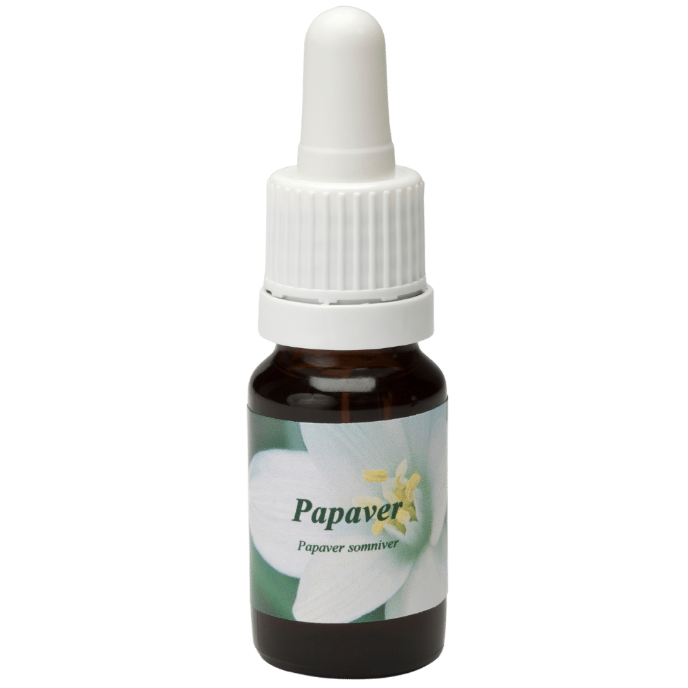 Pipette Bottle 10ml. Flower remedy Papaver | Star Remedies