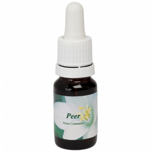 Flacon pipette 10ml. Remède floral Peer | Star Remedies