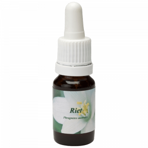 Pipeta Botella 10ml. Remedio floral Riet | Star Remedies