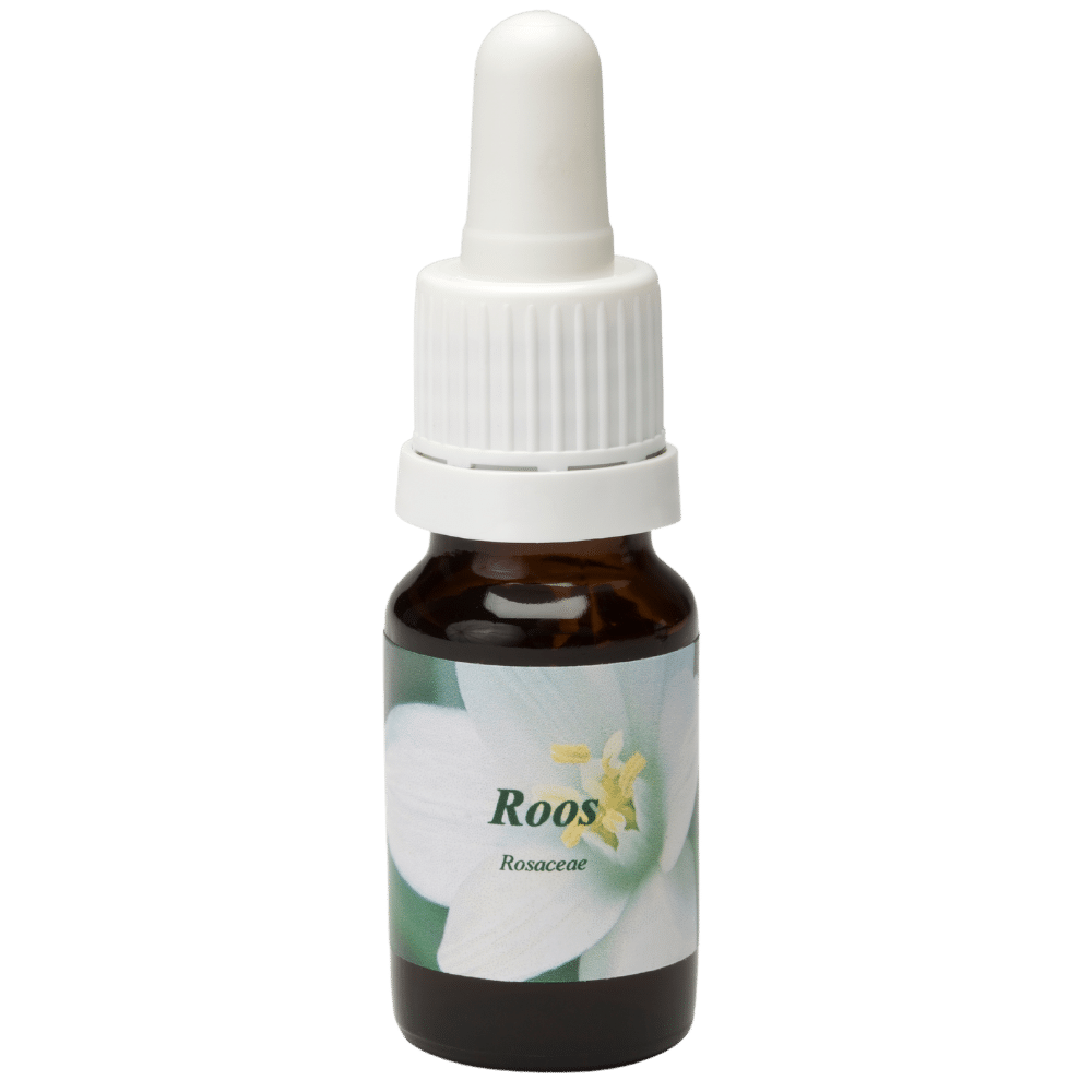 Pipettenflasche 10ml. Blume Heilmittel Roos | Star Remedies