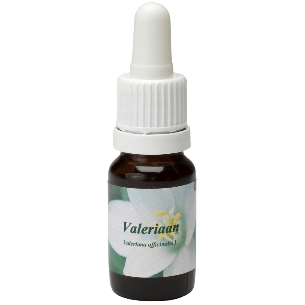 Flacon pipette 10ml. Remède floral Valeriaan | Star Remedies