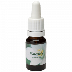 Pipeta Botella 10ml. Remedio floral Waterlelie | Star Remedies