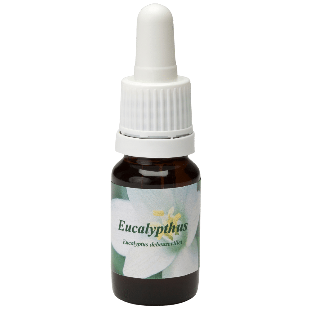 Pipette Bottle 10ml. Flower remedy Eucalypthus | Star Remedies