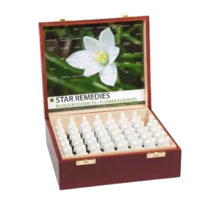 Bottiglia a pipetta 10ml. Rimedio floreale Star Remedies Set di flaconi in scatola di legno | Star Remedies