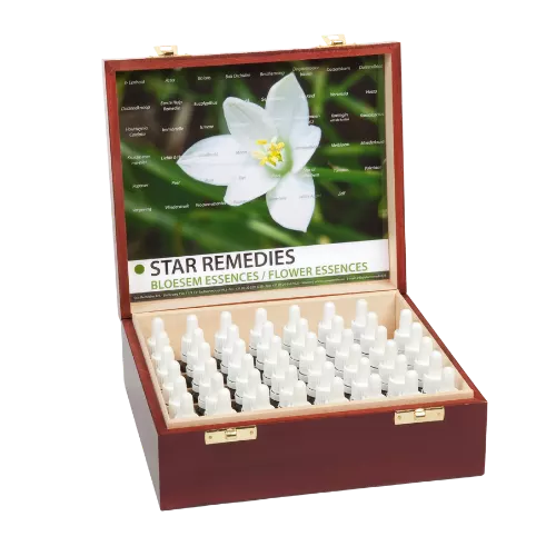 Bottiglia a pipetta 10ml. Rimedio floreale Star Remedies Set di flaconi in scatola di legno | Star Remedies